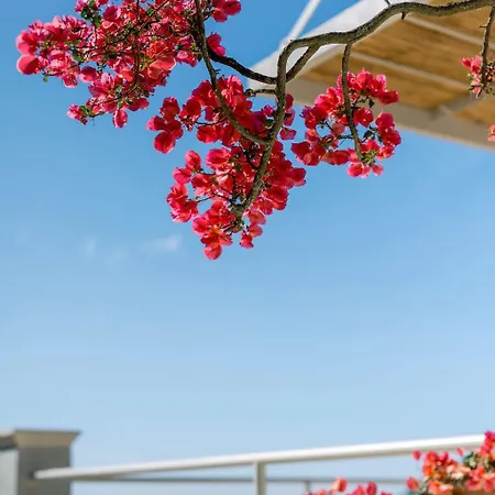 Mila With Private Pool By Olivestone Village ヴィラ Ágios Márkos